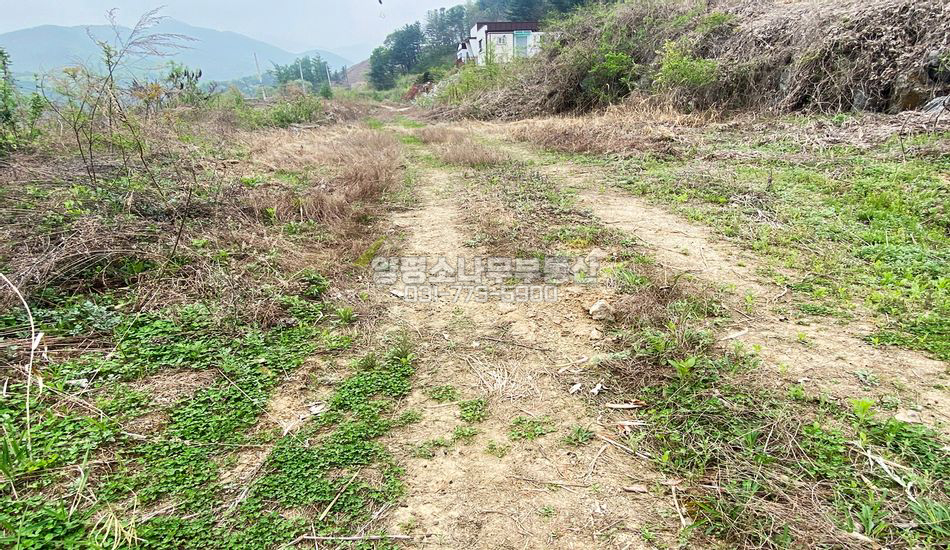 양평군 서종면 수능리 단지상단/자연석 석축