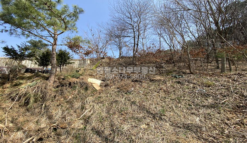 양평군 서종면 서후리 산자락 남향 부지/토목필요