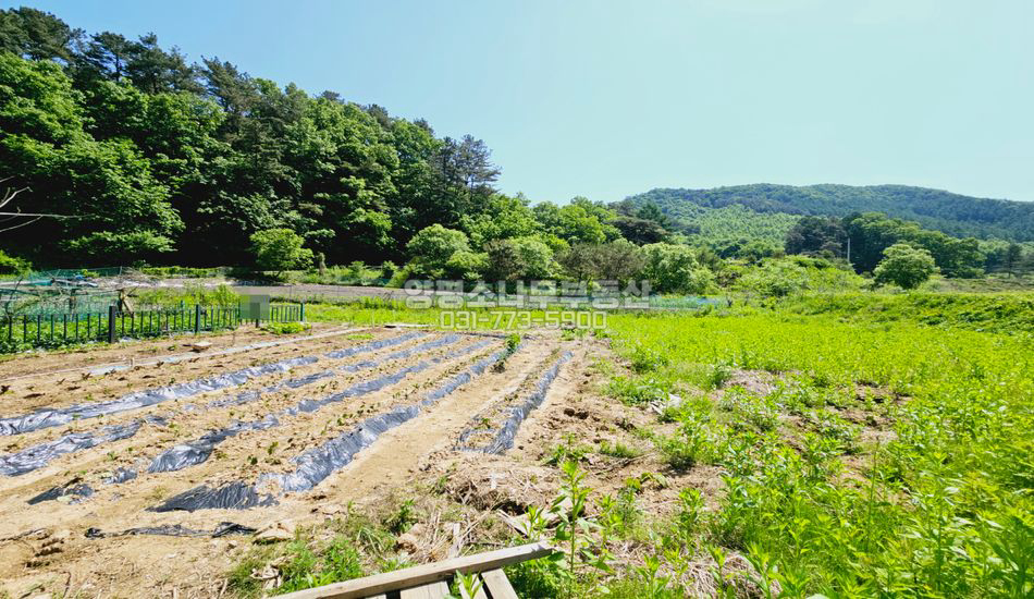 양평군 단월면 삼가리 평편한 농막부지