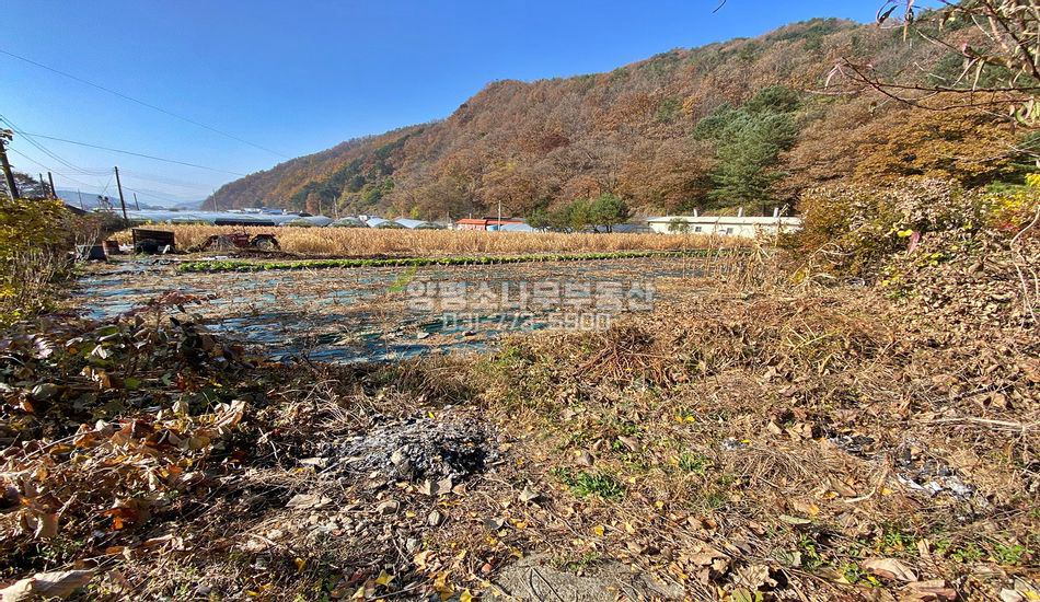 양평군 청운면 다대리 산자락 평편한 농지/주택지
