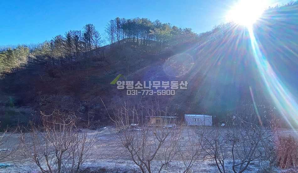 양평군 단월면 명성리 자연림 임야 주택지