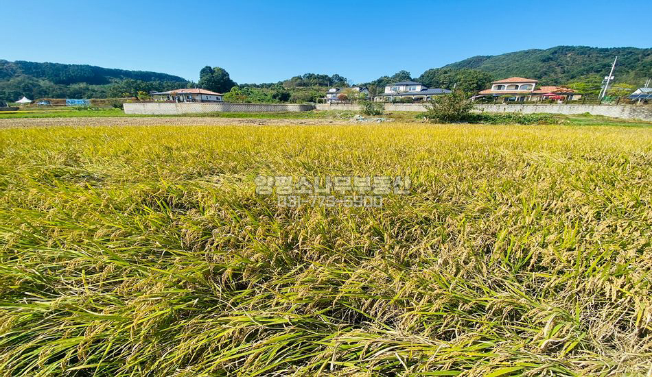 양평군 지평면 송현리 평편하고 한적한 주택지/용문역차량10분
