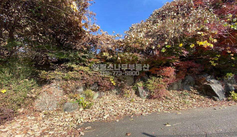 양평군 양평읍 신애리 완경사지 남서향 고급주택지