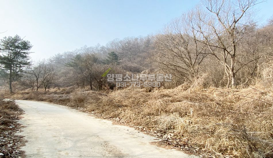 양평군 양서면 증동리 마을 깊숙한곳 나홀로땅
