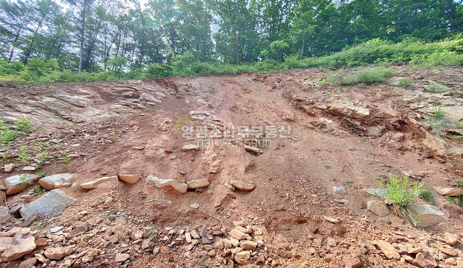 양평군 양서면 신원리 자연림 주택지