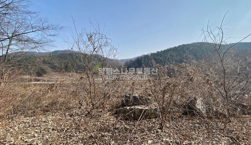 양평군 청운면 갈운리 국유림 접한 사생활 보호 토지