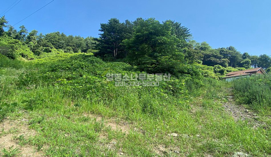 홍천군 서면 대곡리 산자락 주택지
