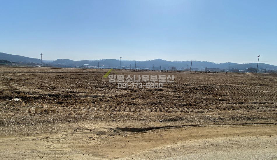 양평군 양서면 국수리 국수역 인근 투자용 진흥구역토지