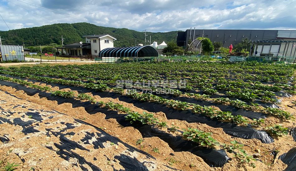 양평군 청운면 다대리 접근성 좋은 깔끔한 주택지