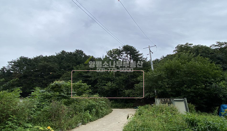 양평군 청운면 갈운리 마을 안쪽 산자락 주택지