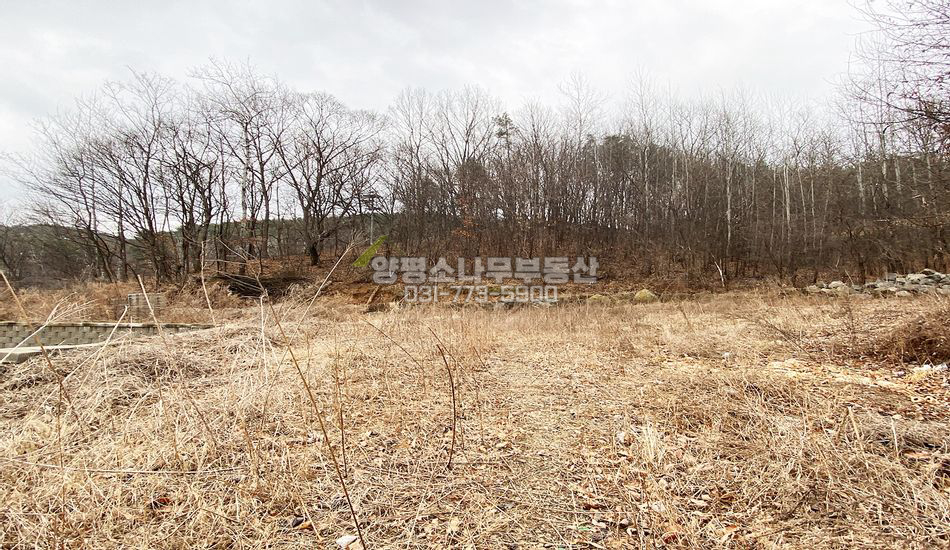 양평군 양서면 국수리 국수역 인근 개발부지