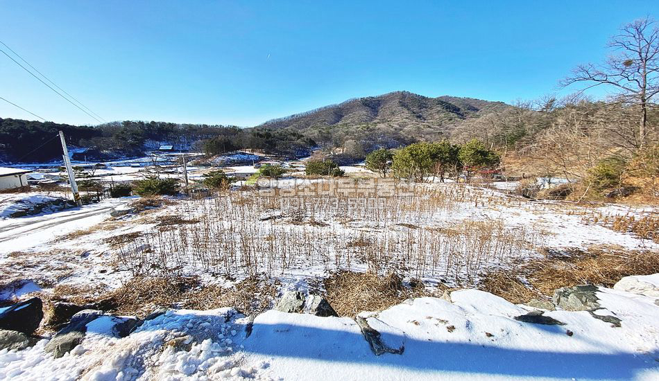 양평군 단월면 보룡리 야트막한곳 토목완료 주택지