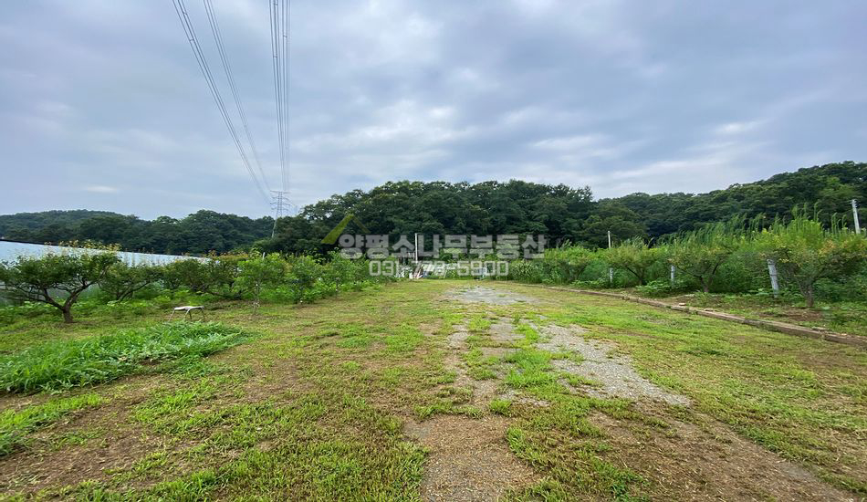 양평군 양평읍 오빈리 평지 주택지/매실밭/컨테이너
