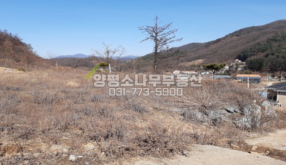 양평군 강하면 항금리 자연석 토목완료/인허가 득/동향전망