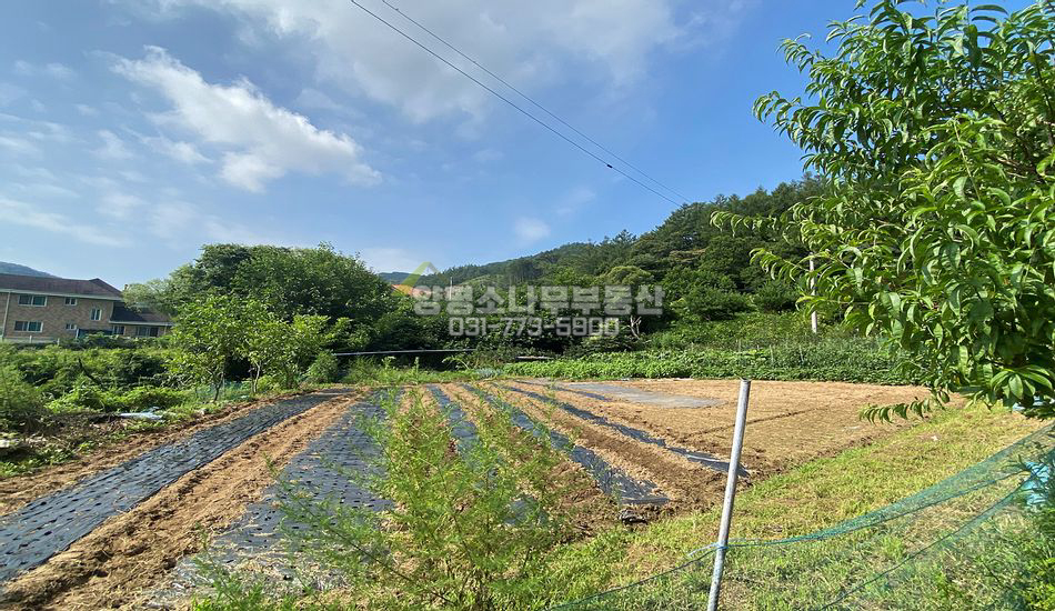 양평군 지평면 무왕리 마을 상단 산자락 농막