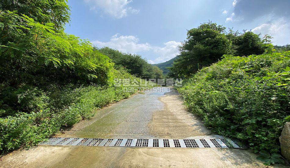 양평군 지평면 망미리 2차선 인근 한적한곳