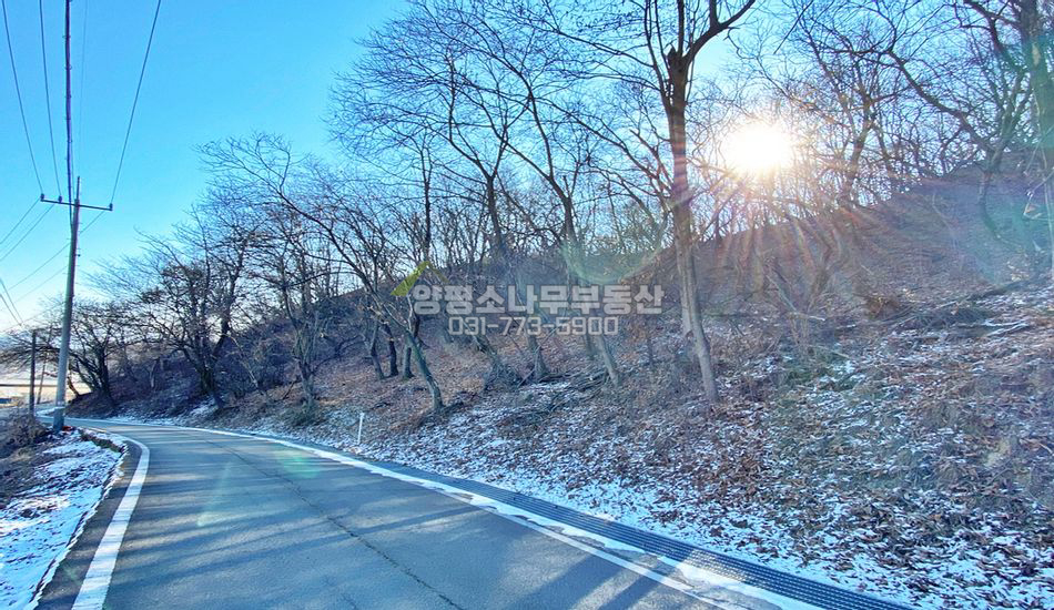 양평군 강상면 송학리 자연림 개발부지