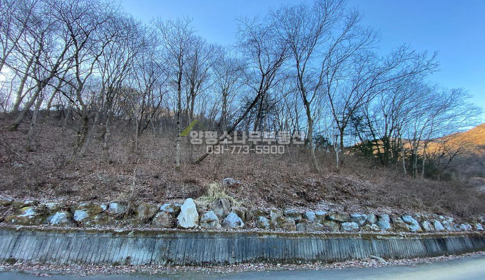 양평군 서종면 수능리 수목재배용 임야/도로 접함