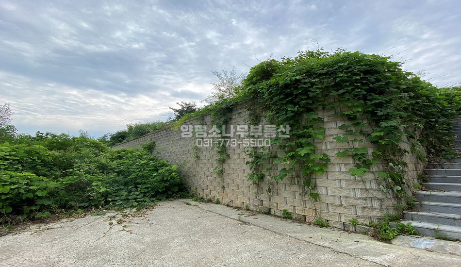 양평군 양서면 청계리 마을 상단 토목완료 주택지