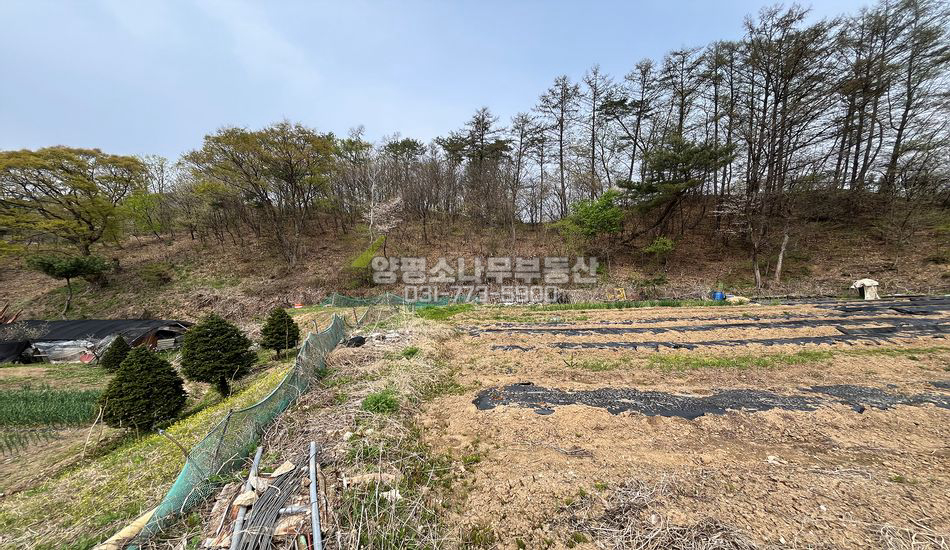 양평군 양서면 목왕리 두물머리ic 인근 평편한 임야