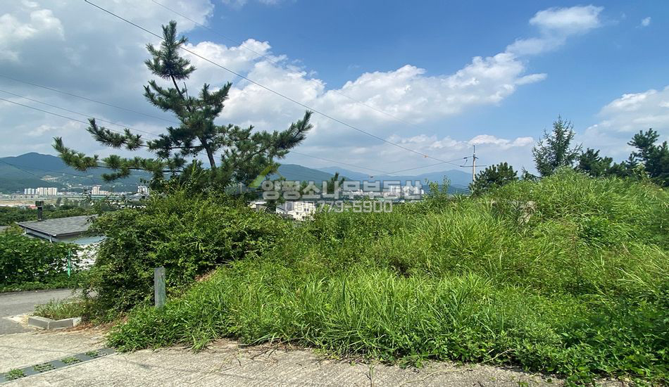 양평군 용문면 다문리 용문역 차량5분 단지내 필지
