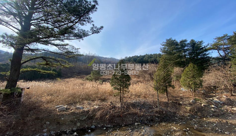 양평군 용문면 연수리 산속 깊숙한곳 자연림 임야/평편함