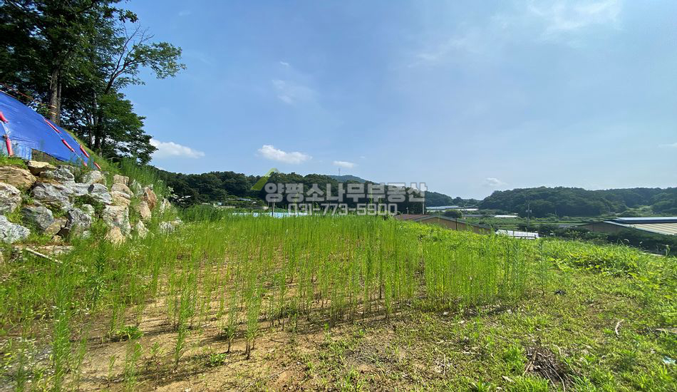 양평군 양평읍 봉성리 원덕역 도보 주택지