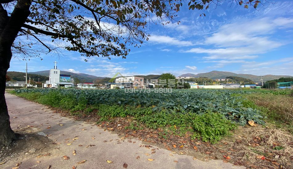 여주시 산북면 상품리 2차선 접한 상품리 중심지 근생부지