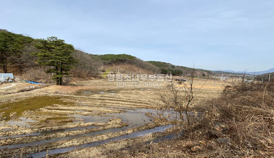 여주시 금사면 외평리 마을 안쪽 진흥구역 농지