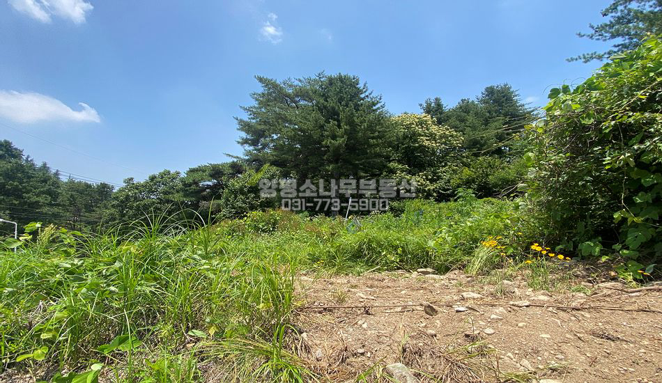 양평군 서종면 정배리 아주 기다란 토지/2차선 접함