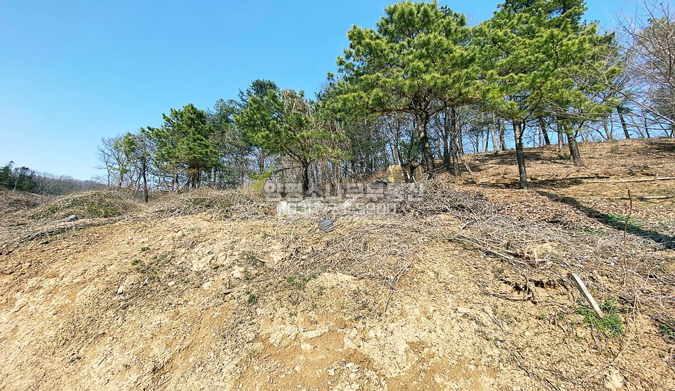 양평군 서종면 도장리 토목공사 필요한 주택지