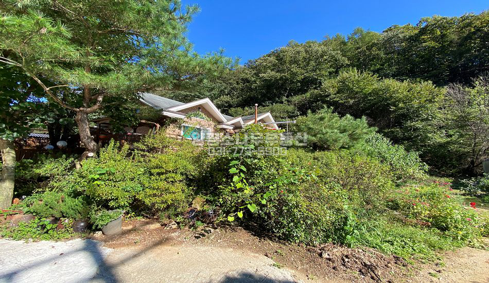 양평군 양동면 고송리 깊숙한곳 산자락 개울인근 운치있는 집