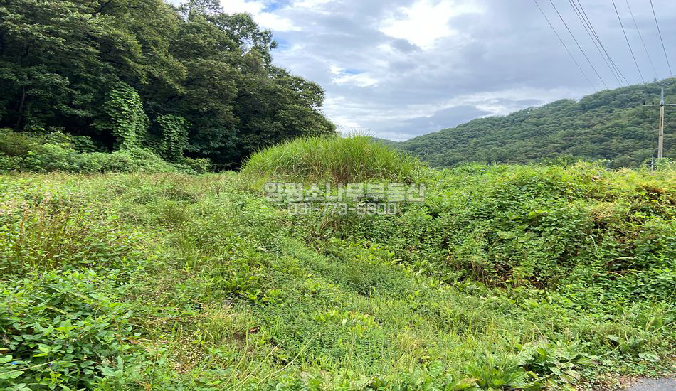 광주시 퇴촌면 영동리 평지 산자락 주택지
