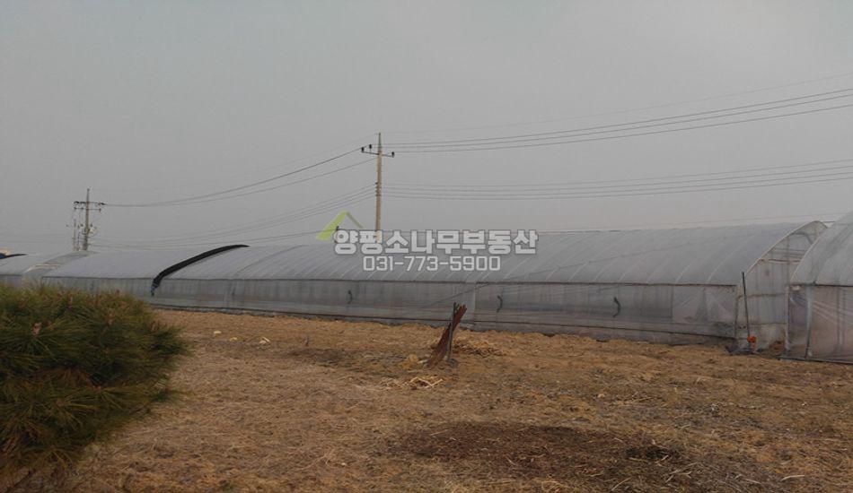 양평군 개군면 앙덕리 남한강 인근 평지 주택지