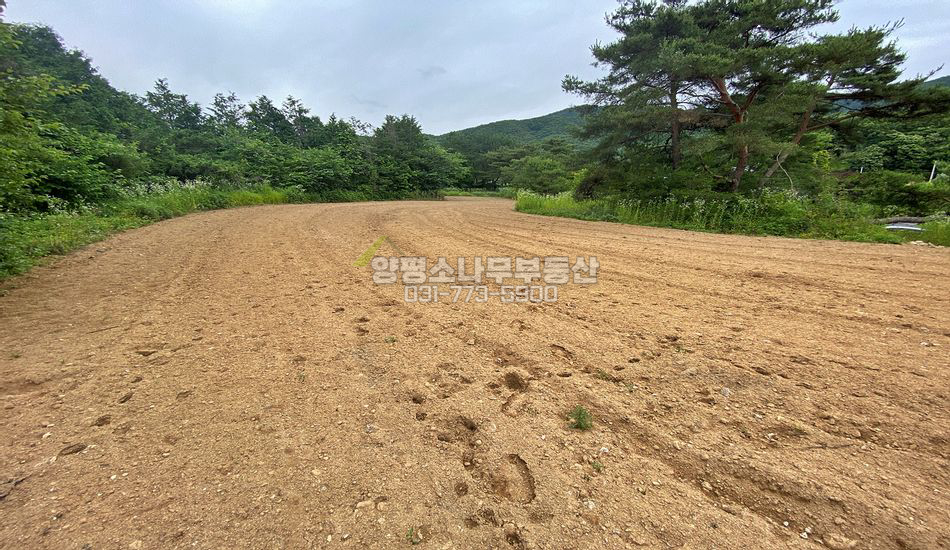 양평군 지평면 일신리 일신역 도보 평편한 집 터