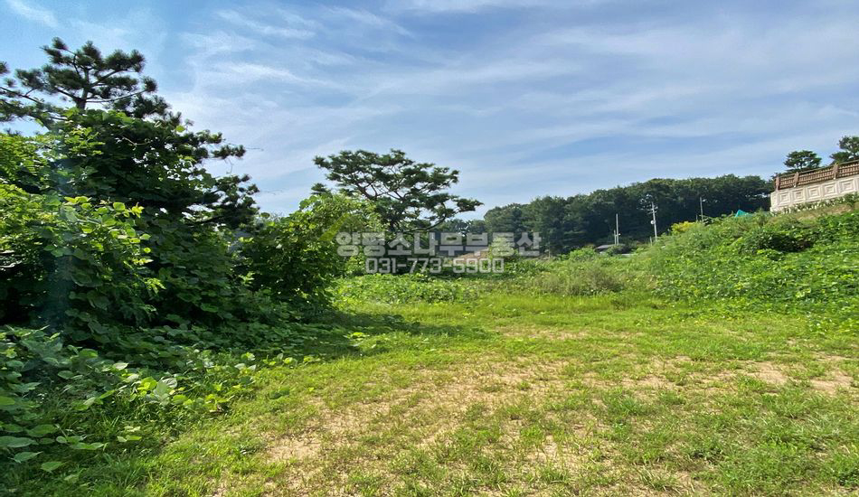 양평군 옥천면 신복리 남향전망 잘 닦여진 주택지