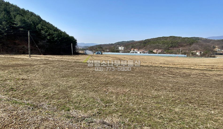 양평군 용문면 중원리 평지 시골마을 주택지