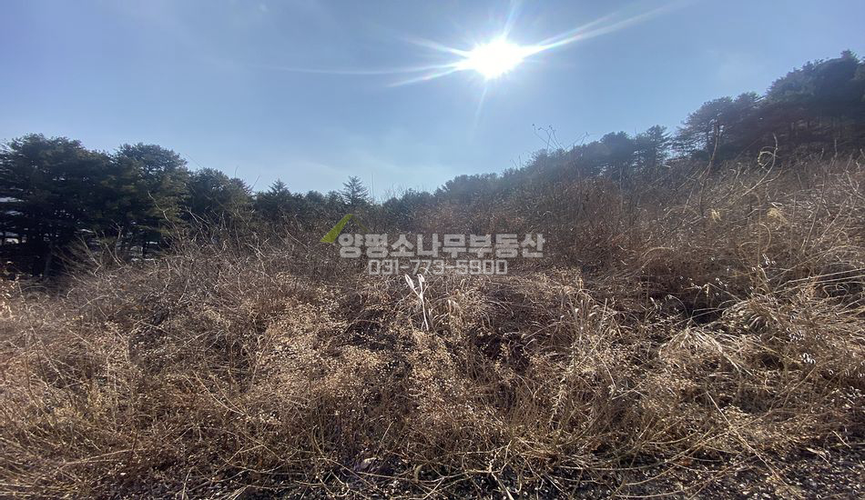 양평군 서종면 정배리 마을 상단 원형질 임야