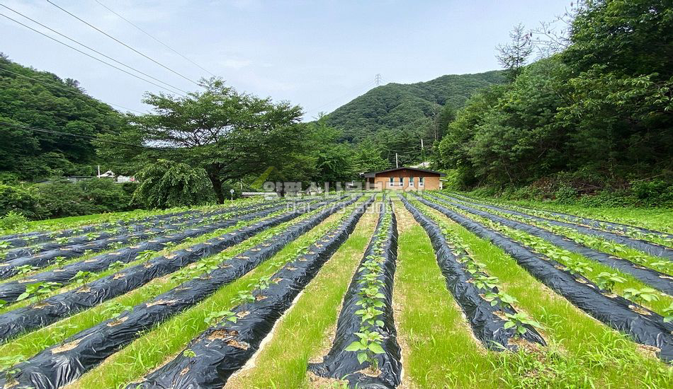 양평군 서종면 명달리 대로변 활용도 높은 계획관리 필지