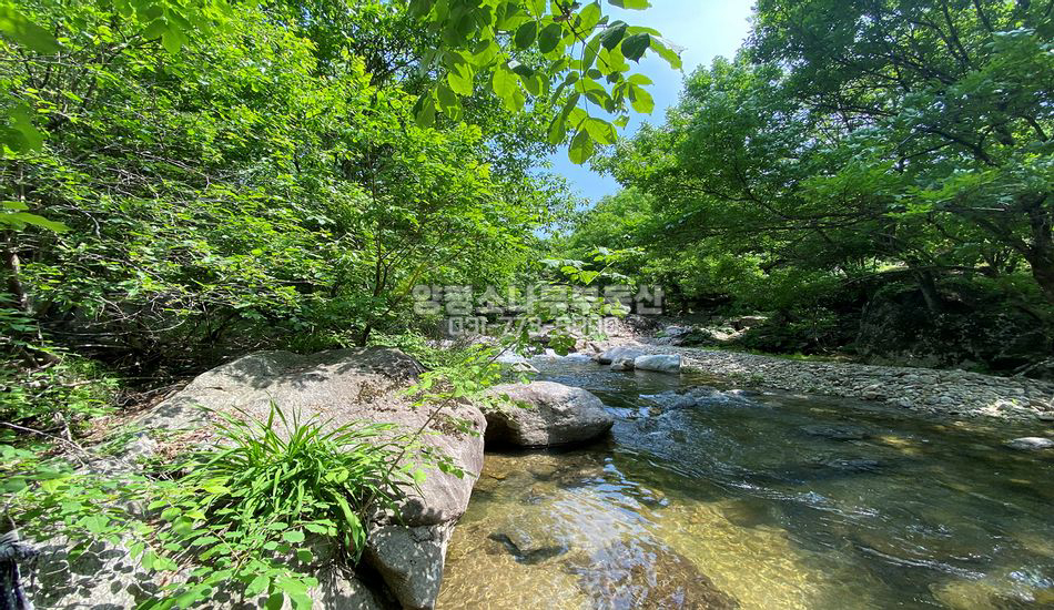양평군 서종면 명달리 청정계곡 접한 귀한땅