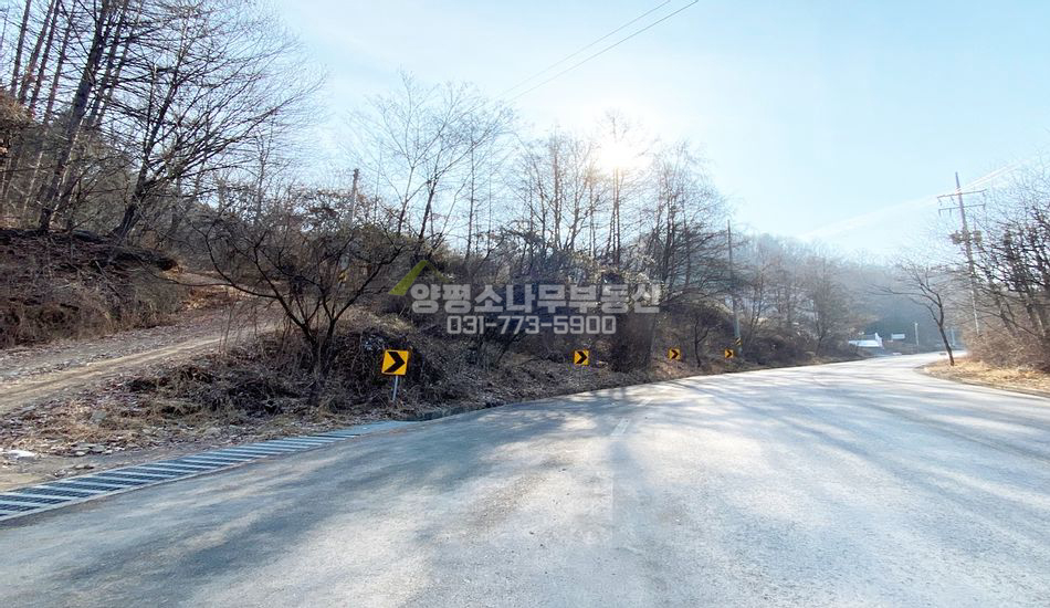 양평군 서종면 수능리 2차선 도로접한 자연림 임야