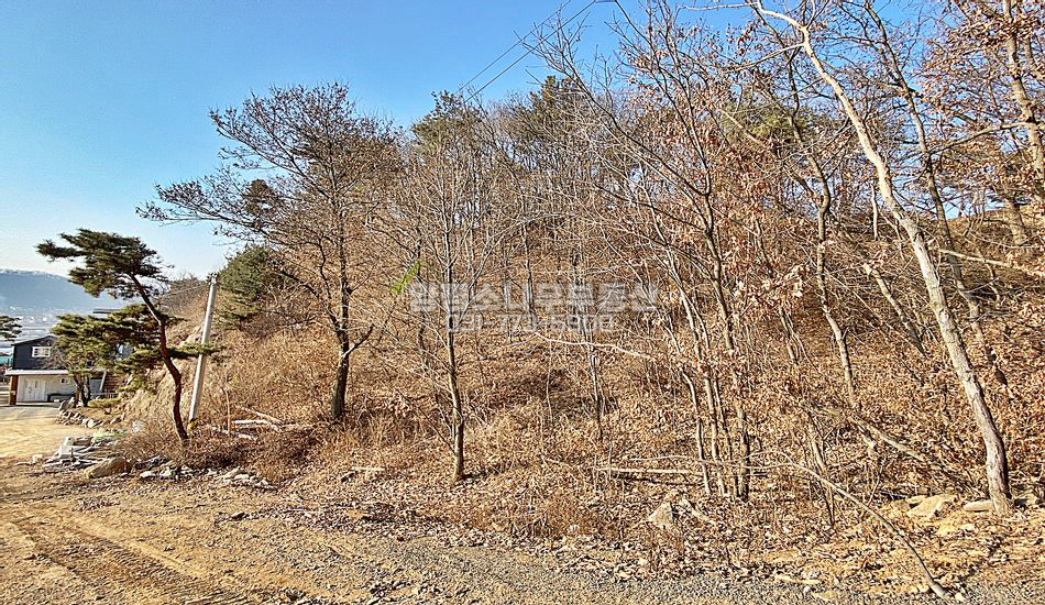 양평군 옥천면 옥천리 단지상단 자연림/도로개설조건