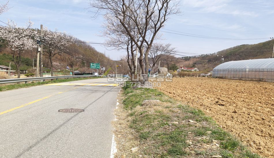 양평군 강하면 성덕리 한적한 대로변 주택지