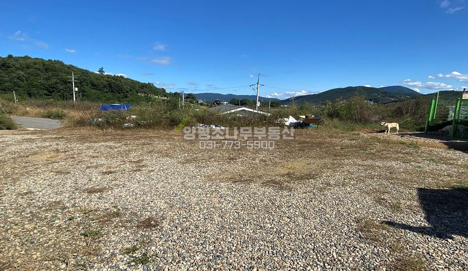 양평군 강상면 세월리 세월초 인근 단지형 주택지