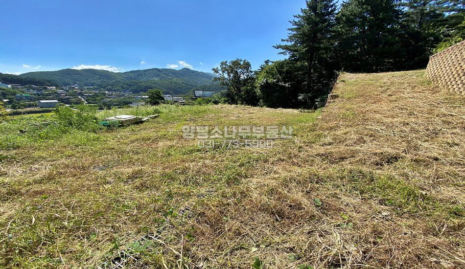 양평군 서종면 수능리 단지 상단 보강토토목 주택지