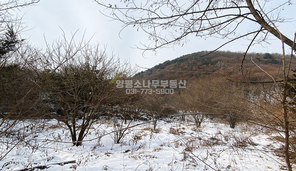 광주시 남종면 귀여리 마을 안 평지 그린벨트 주말농장