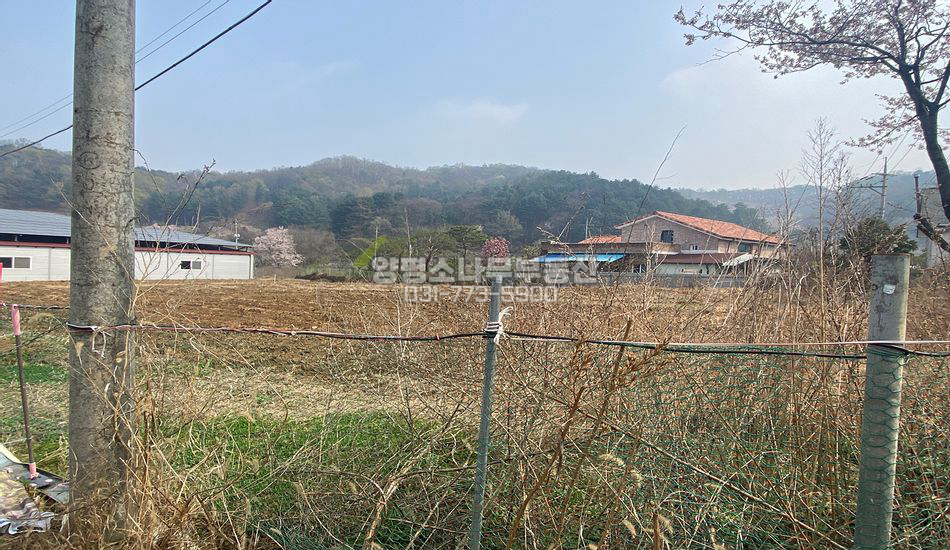 양평군 강하면 전수리 농림지역 지목 '대' 