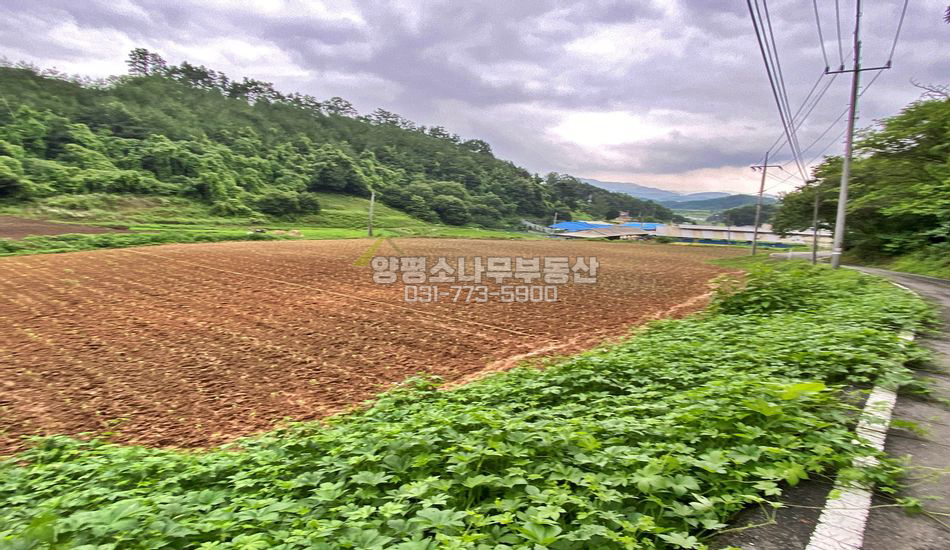 양평군 강상면 송학리 마을 내 평지 농지/주택지