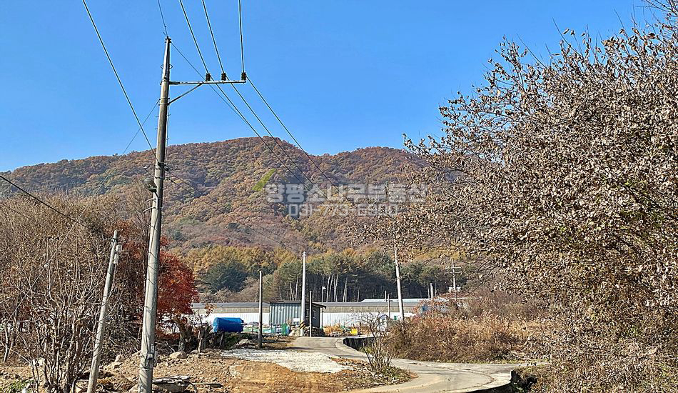 양평군 양동면 고송리 고송리 맹지임야 평당10만