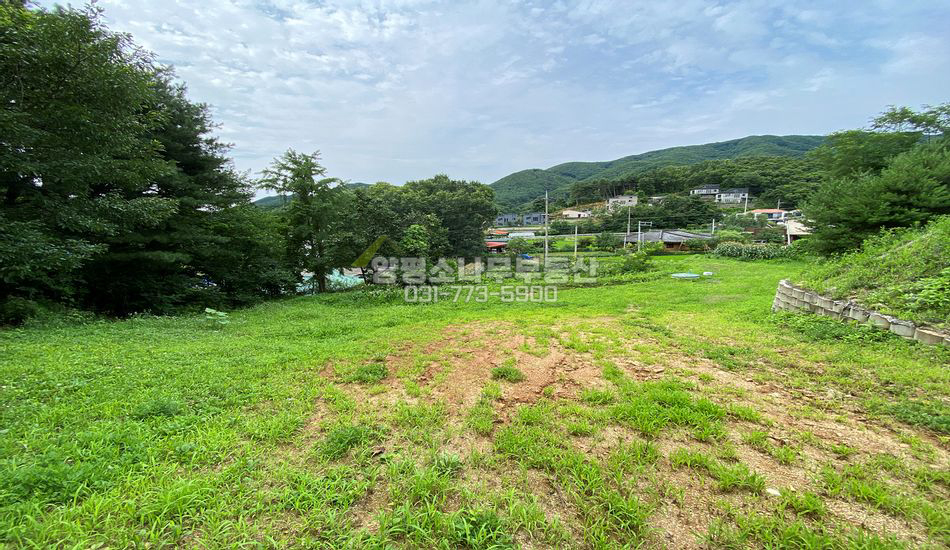 양평군 강상면 송학리 마을내 야트막한 주택지